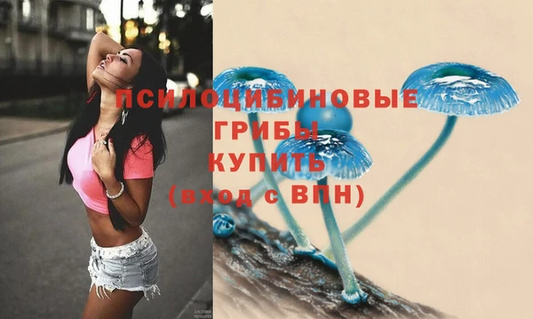прущая мука Бородино